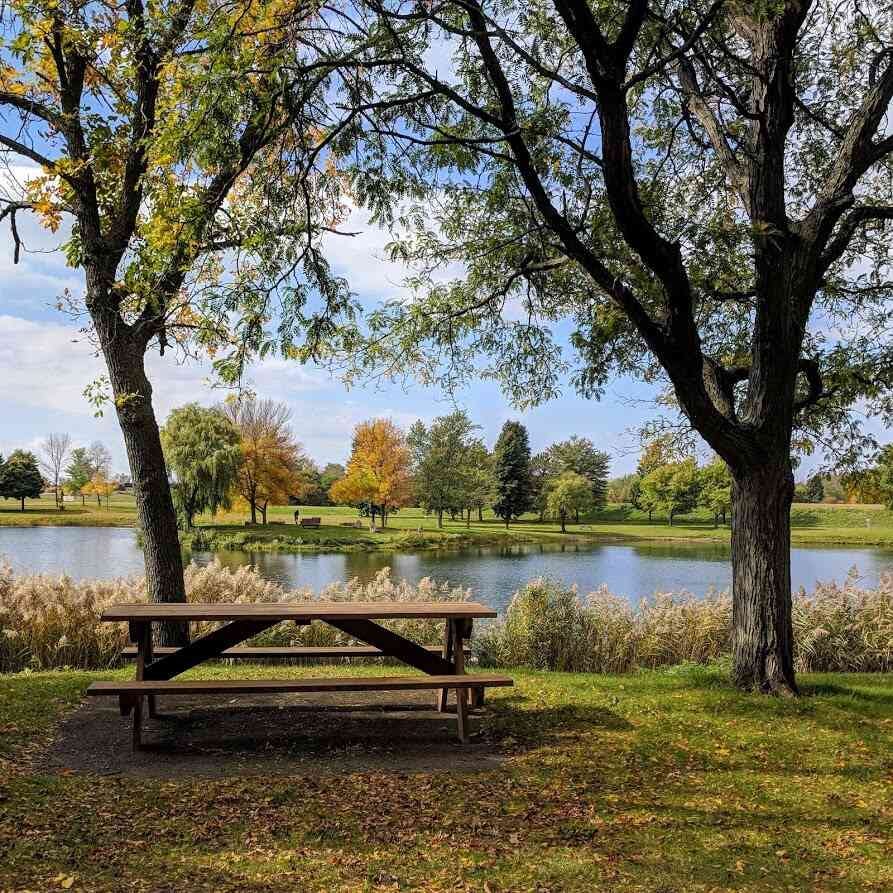 perfect picnic spot north ponds park webster