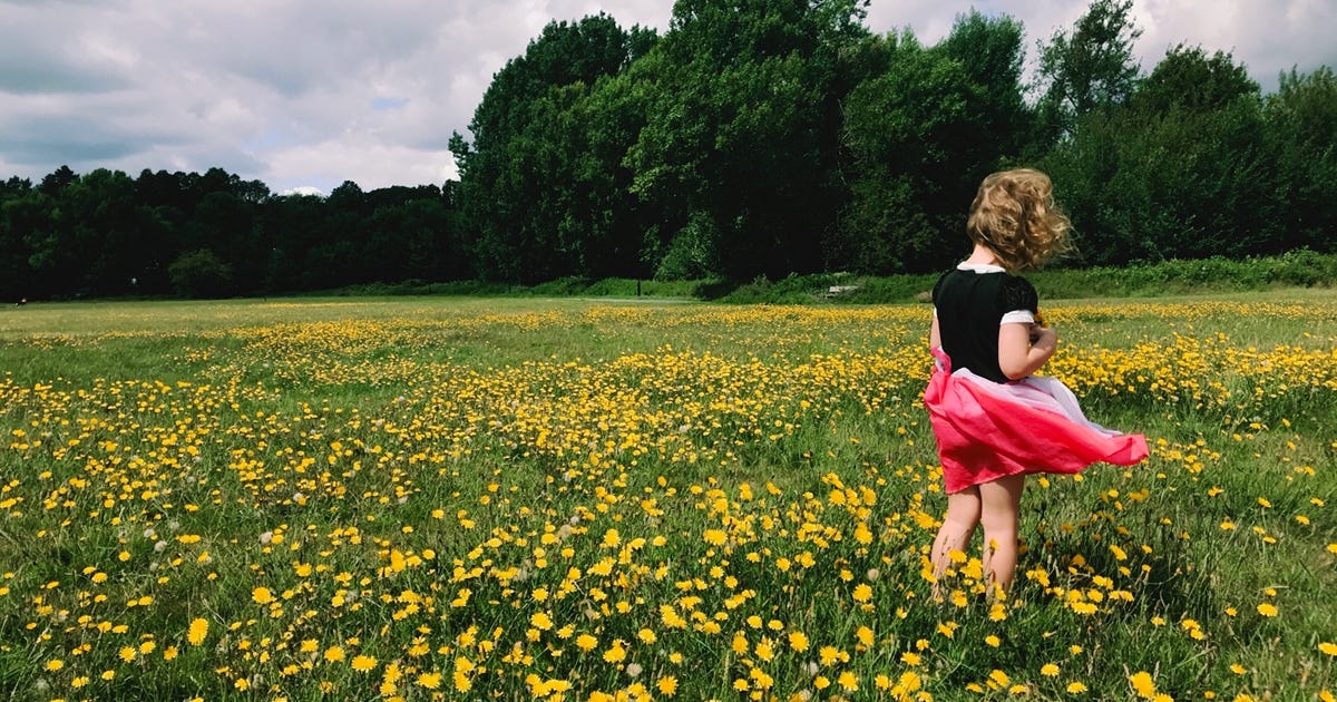 Photograph of a young girl amonst dandelions on Warren Avenue Playing Fields, Bromley