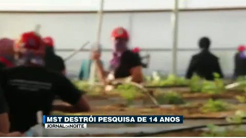 Grupo de mulheres do MST destrói pesquisa de 14 anos - 06/03/2015 - UOL TAB
