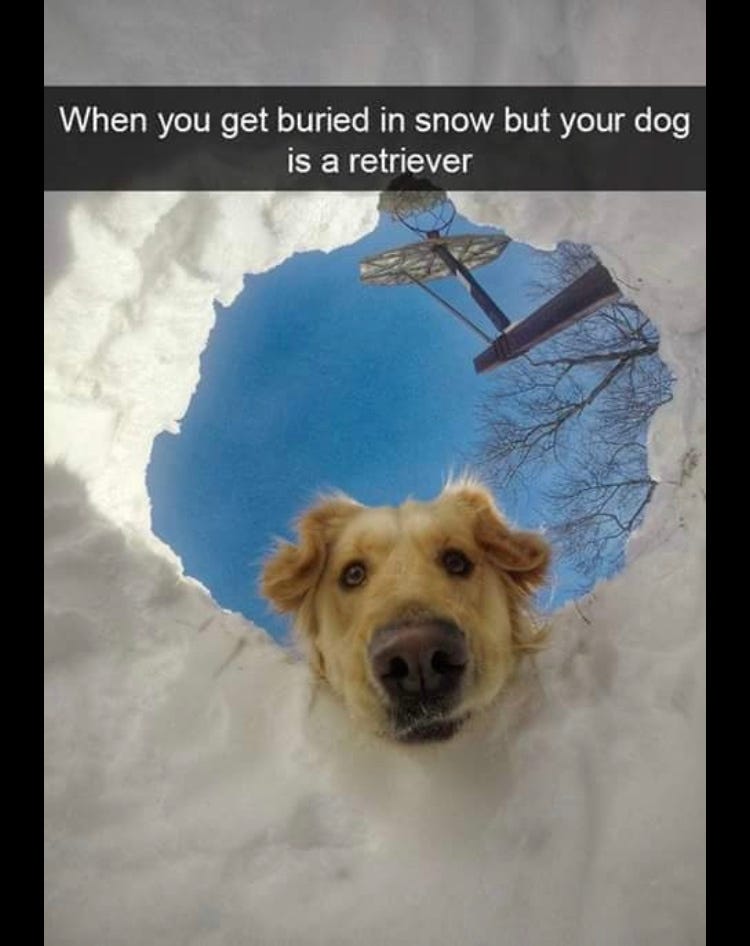 snow - Meme by kyland10 :) Memedroid