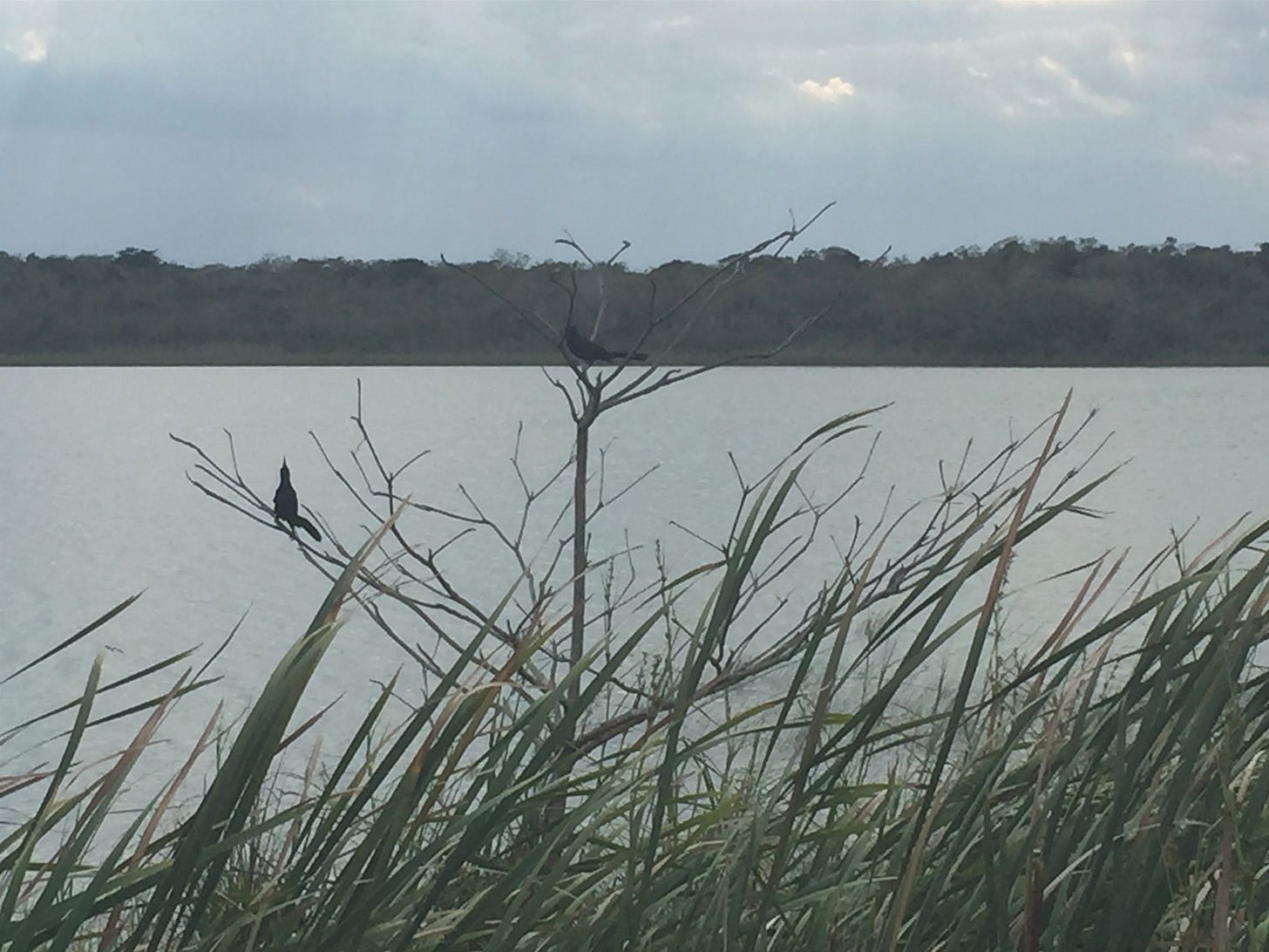 Lake Cobá
