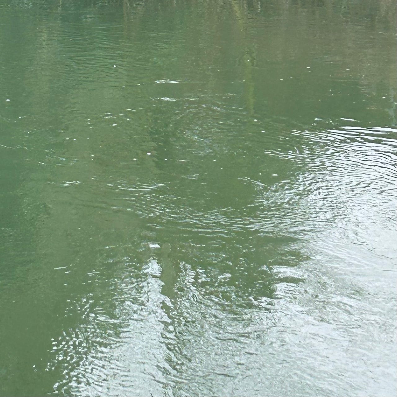 Catching in the Currents