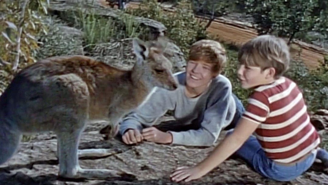 Ken James: Skippy – TV Flashback Ken James: Skippy – TV Flashback