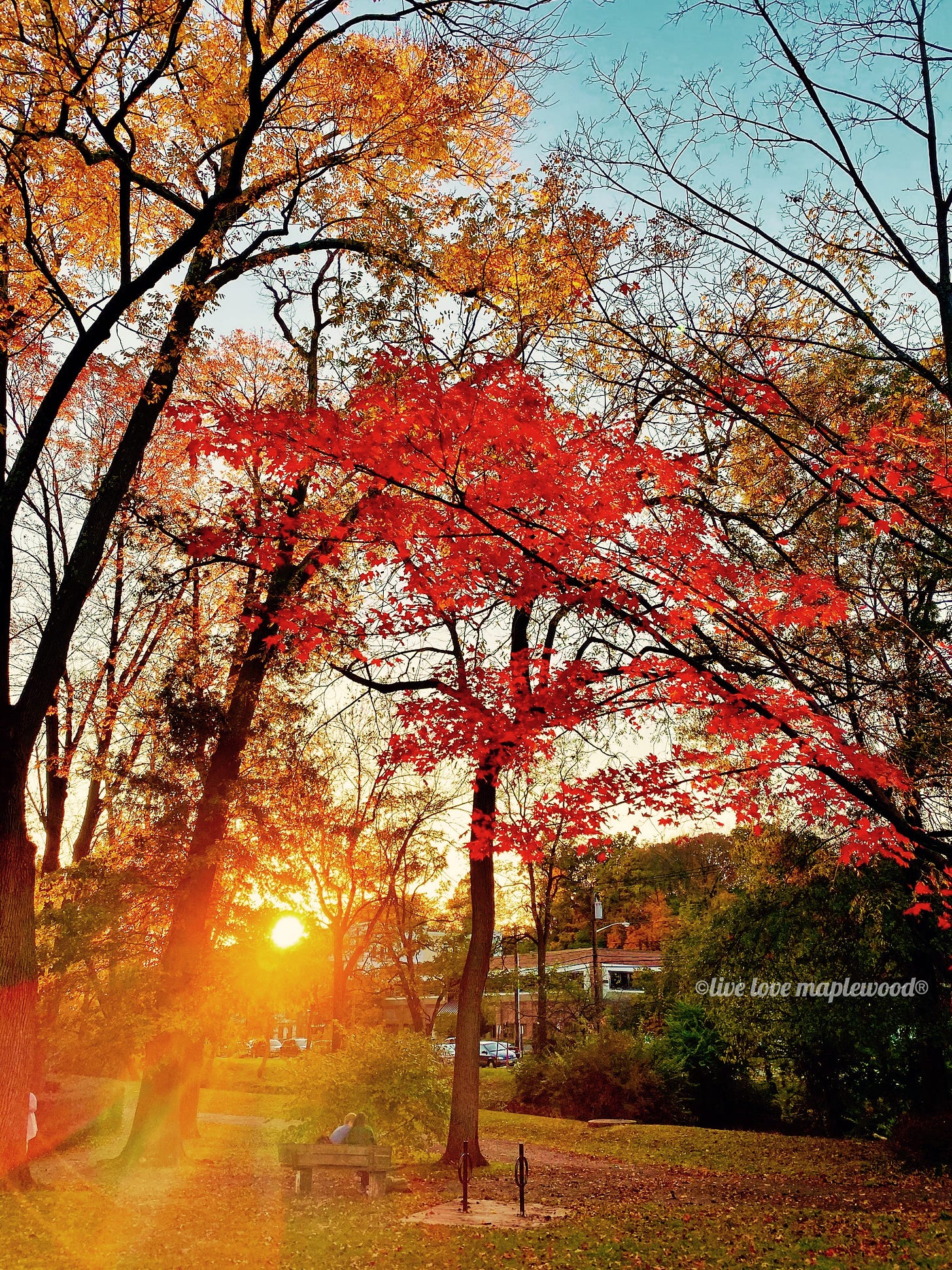 Live Love Lens Photography by Jamie Meier