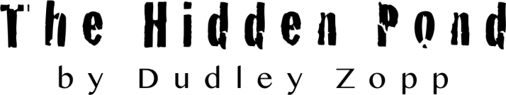The Hidden Pond Substack by Dudley Zopp