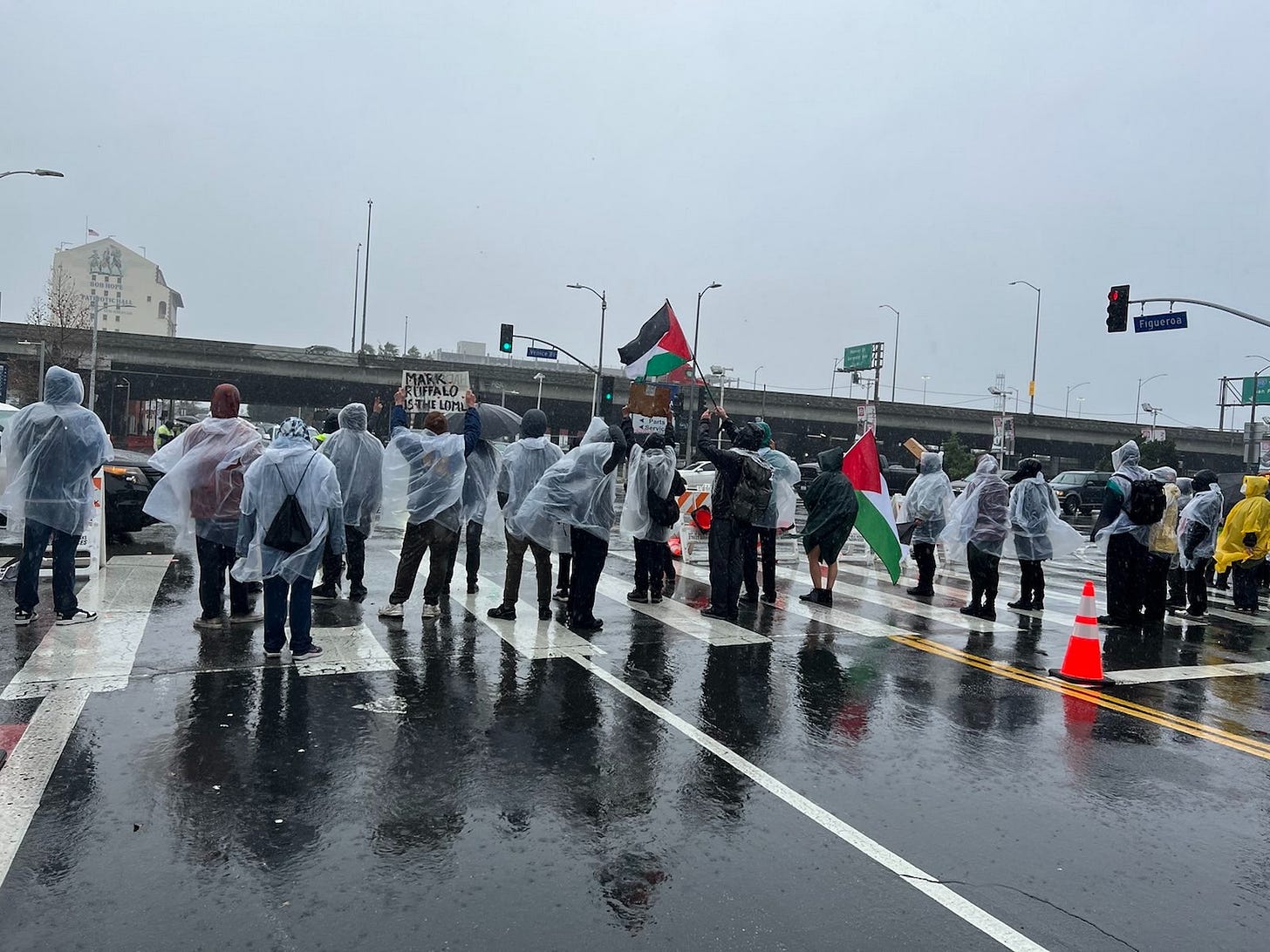 Protesters standing in the street block entrance to cars attempting to enter the drop off zone for the Grammys