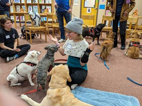 A person with many dogs

AI-generated content may be incorrect.