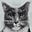 paul.mcvinney's avatar