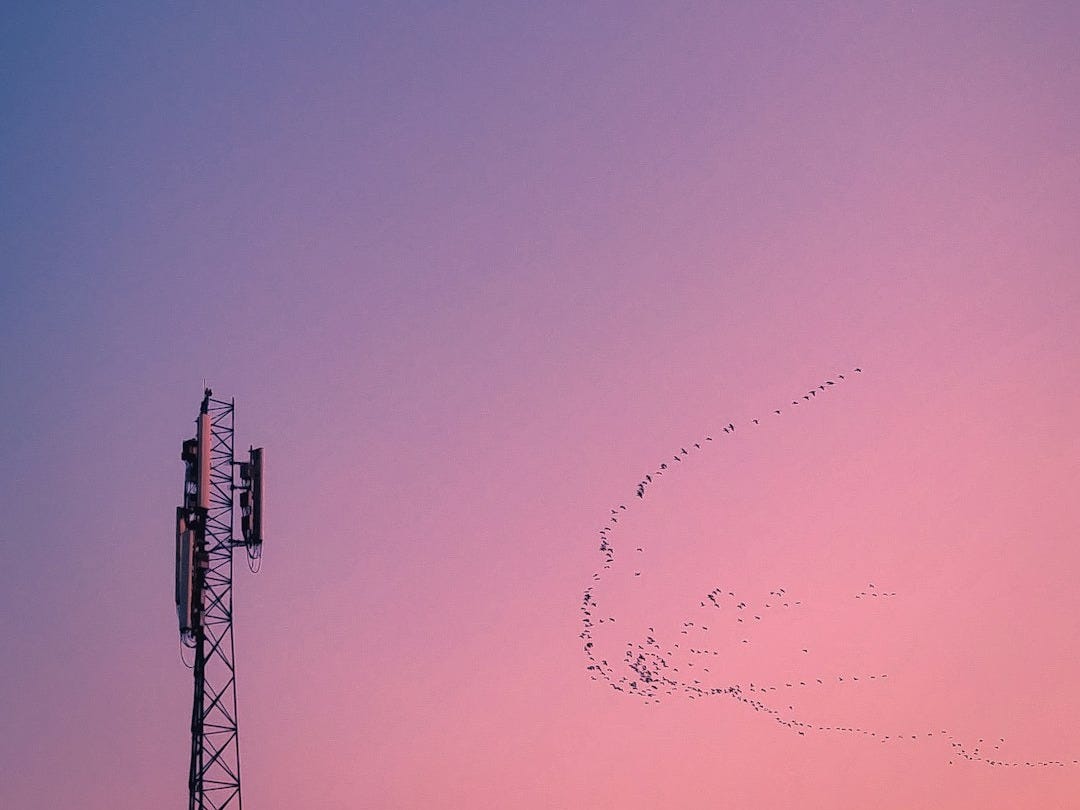 white lightning UNK on purple sky white lightning UNK on purple sky
