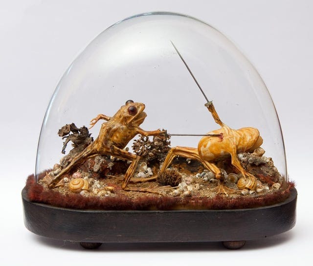r/ArtefactPorn - Two stuffed frogs having a sword fight, found in a late 19th century French mansion "Maison Mantin" after it had been sealed for more than 100 years, from 1905 to 2010 [1352x1151]