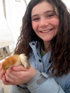 Stand with Baker's Green Acres: save this farming family