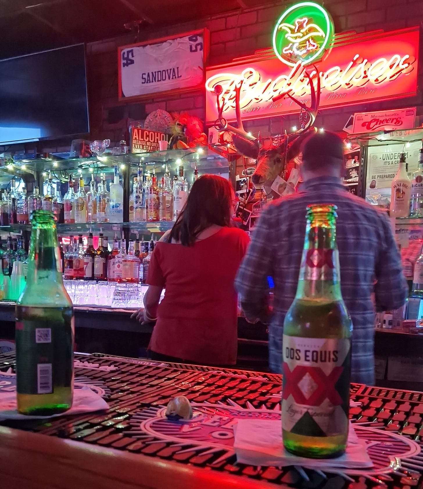 At the bar at Graham's, two bottles of Dos Equis with discarded limes sit on a rubber bar mat. Ronnie and Jen (the bartenders) are at the till in the background, surrounded by an extensive backbar of booze, neon lights and a taxidermy deer head.