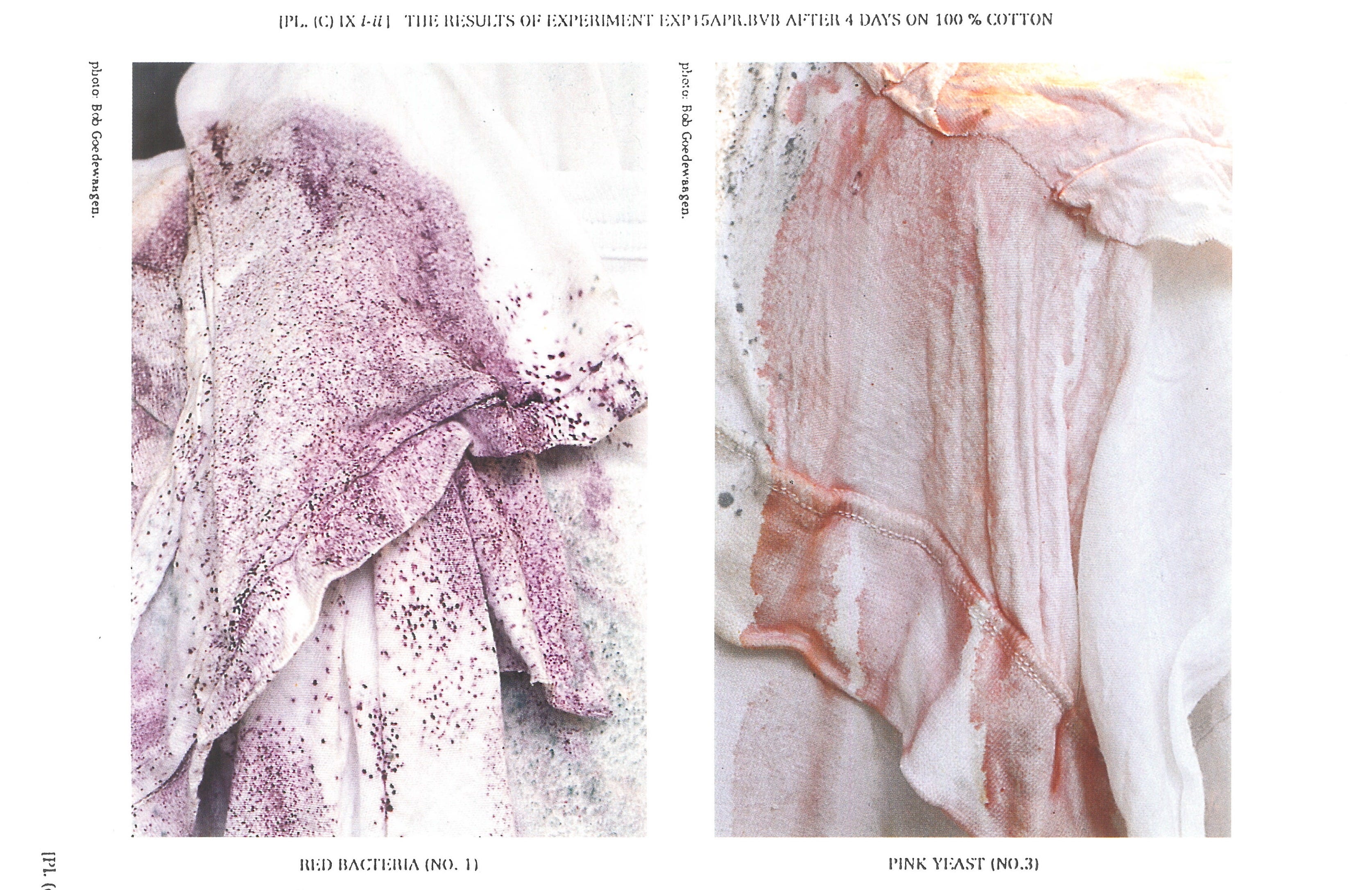 Martin Margiela, 9/4/1615