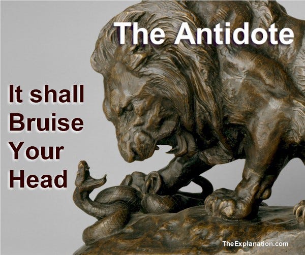 The Antidote. the Lion, representing Jesus Christ, will definitively bruise the head of the Serpent. The Antidote. the Lion, representing Jesus Christ, will definitively bruise the head of the Serpent.