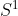 S^1