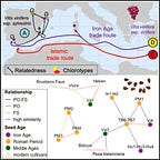 Anthropology.net