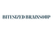 Bitesized Brainsoup