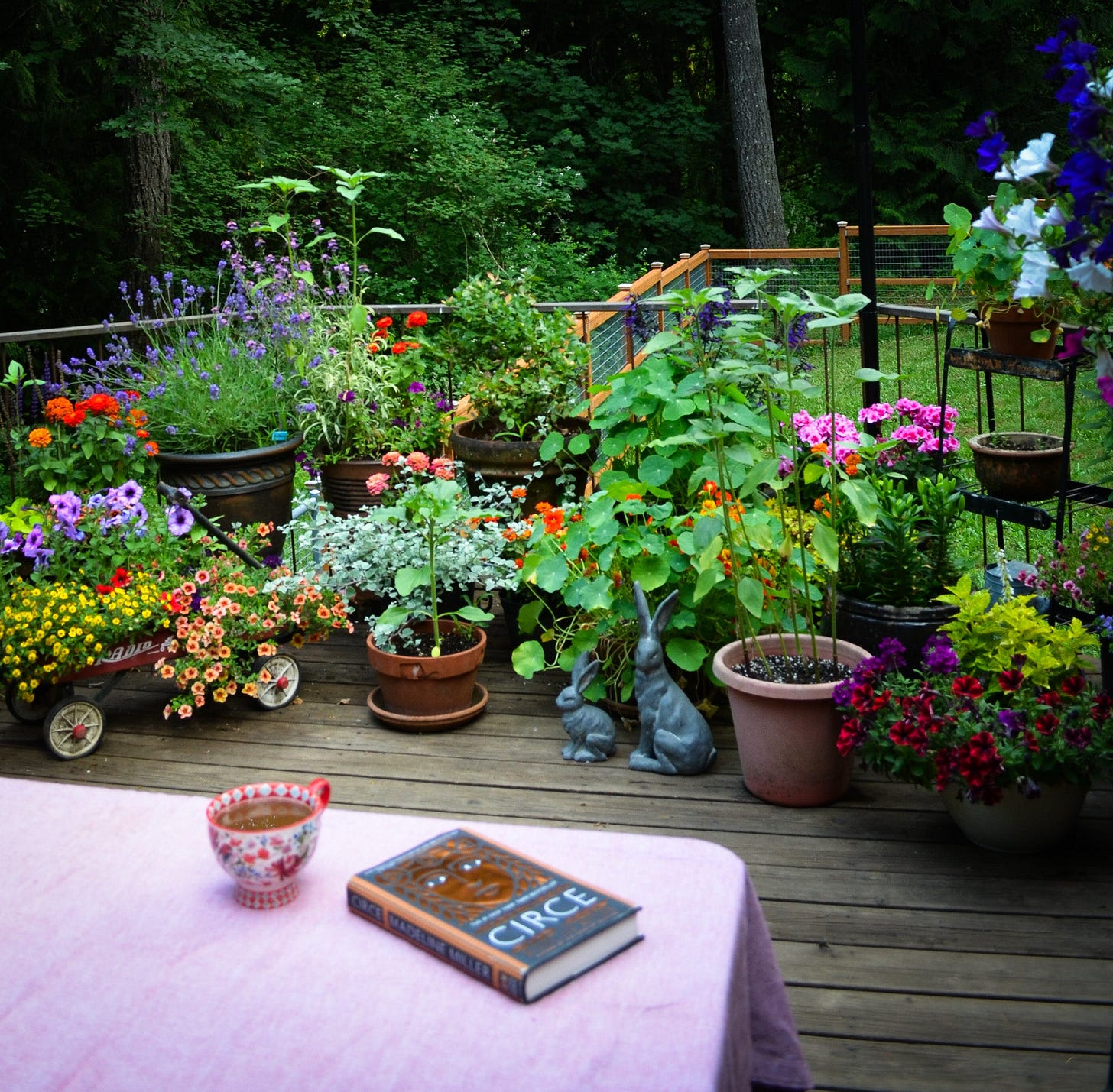 patio garden scene, with book Circe on the table and a cup of coffee