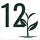 12 Seeds