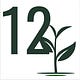12 Seeds