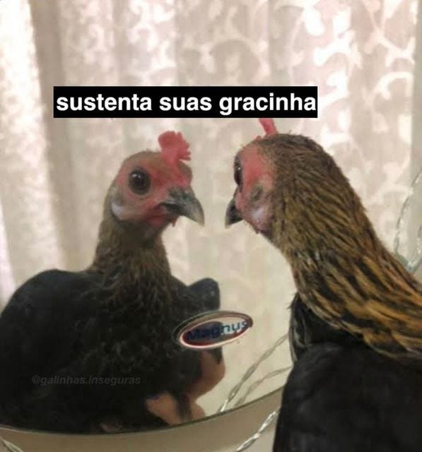 12 ideias de Galinha feia em 2025 | figurinhas engraçadas, fotos com frases  engraçadas, memes engraçados