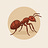 Ant Insights