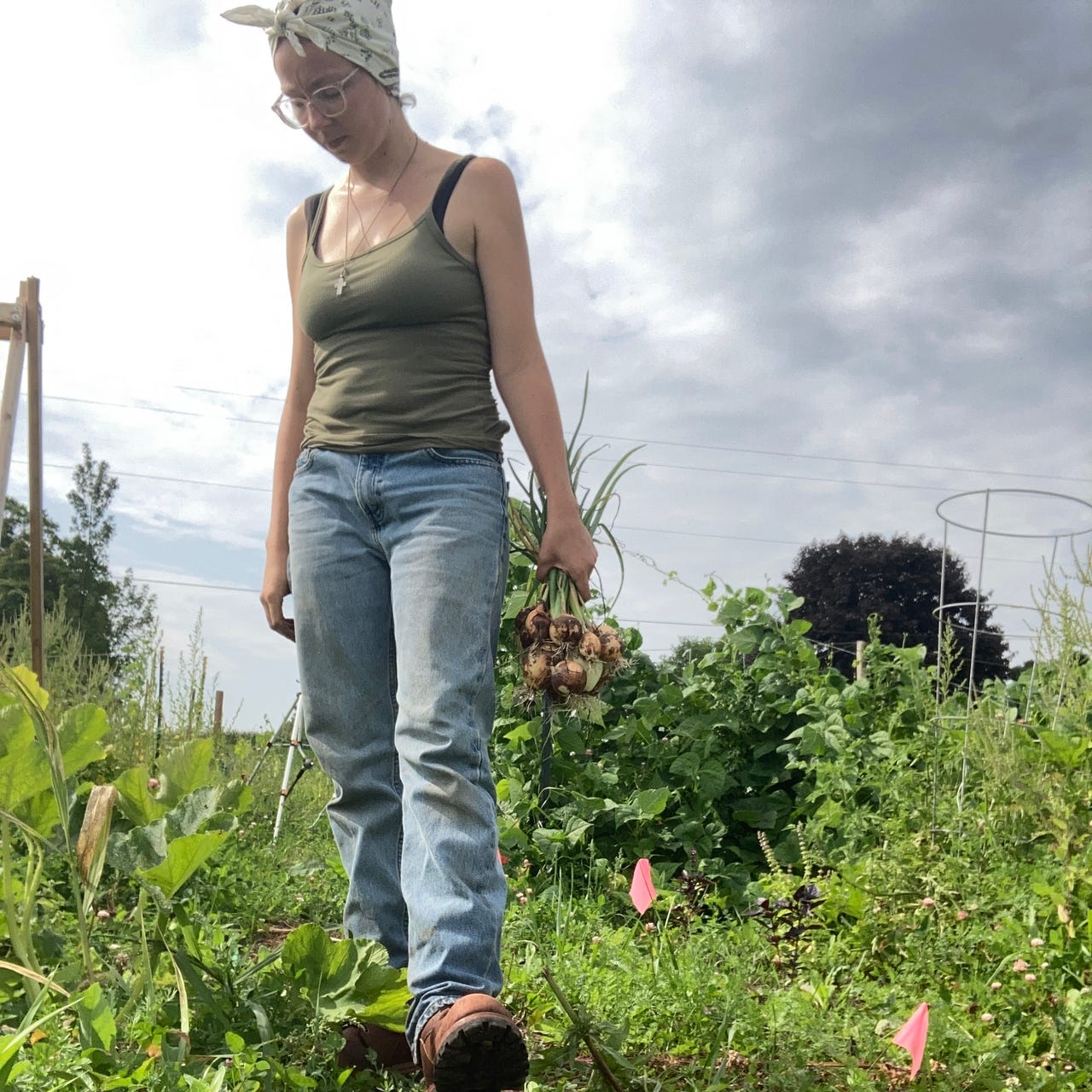 Dispatches of a Feral Housewife