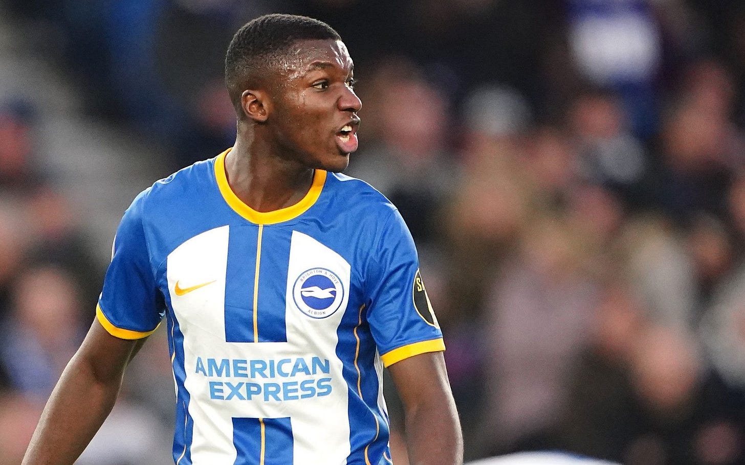 Brighton want more than £100m for Moises Caicedo as Chelsea seek deal