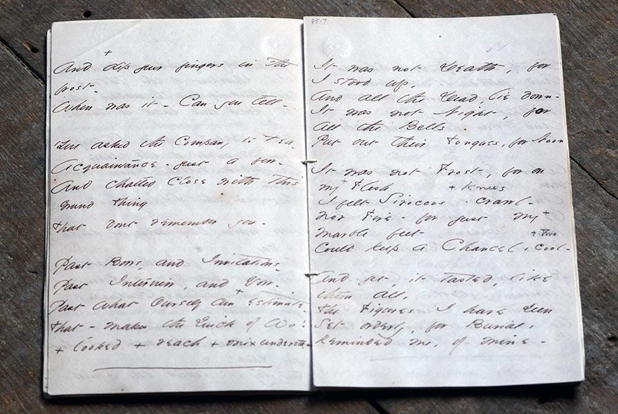 Emily Dickinson fascicle collection Emily Dickinson fascicle collection