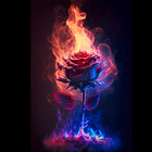 Tales from Bohemia: The Winter King and Queen, the Rosicrucian Red Dawn and its Magus John Dee