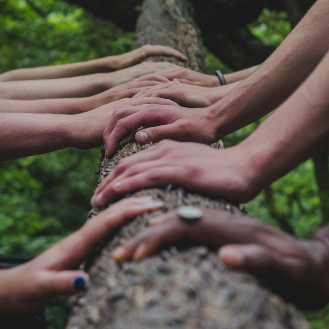 a group of people holding hands on top of a tree a group of people holding hands on top of a tree