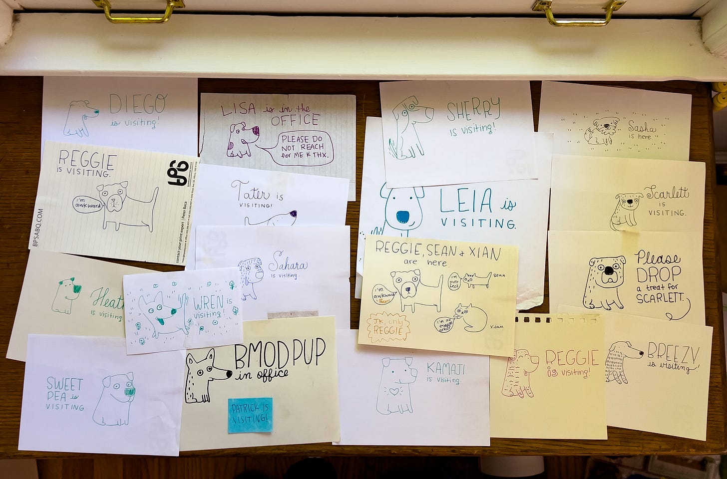 dog doodles from beth spencer