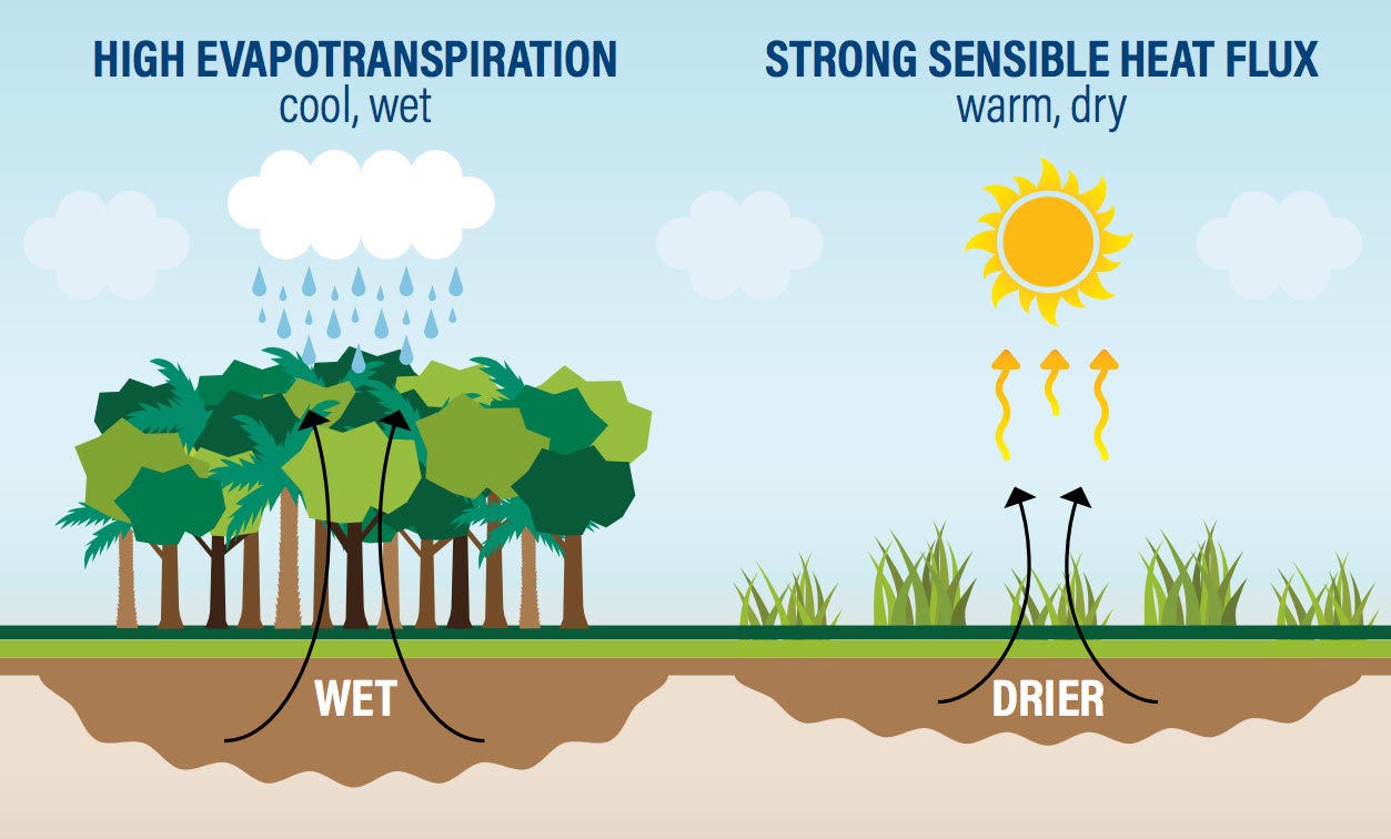 Rivers in the Sky: How Deforestation Is Affecting Global Water Cycles - Yale E360 Rivers in the Sky: How Deforestation Is Affecting Global Water Cycles - Yale E360