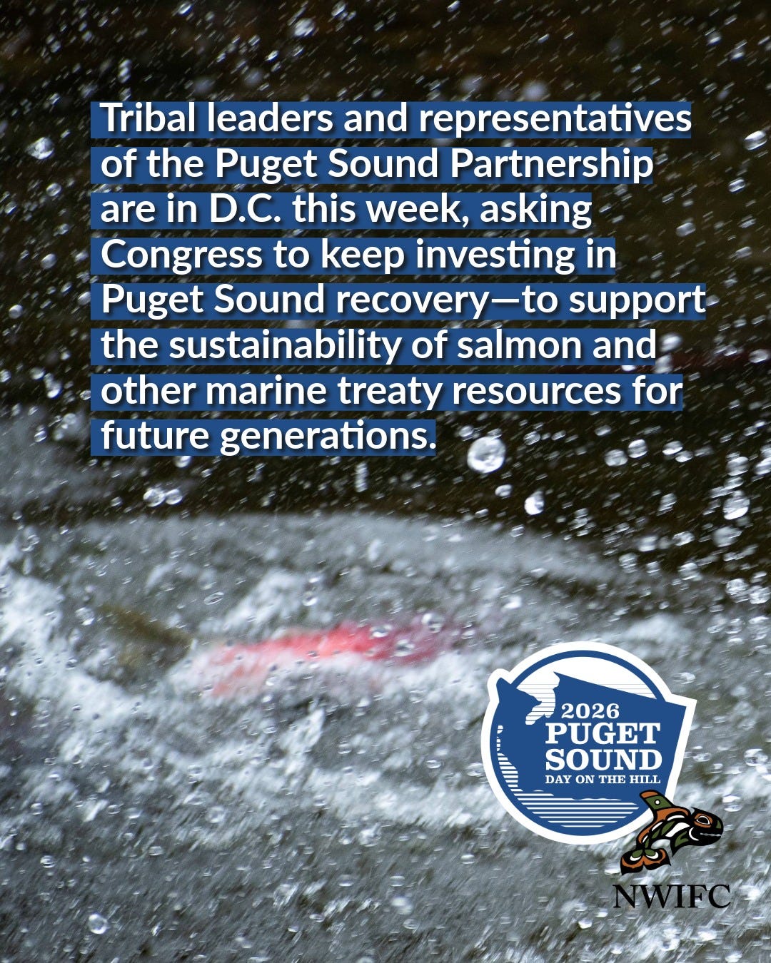 May be an image of text that says 'Tribal leaders and representatives of the Puget Sound Partnership are in D.C. this week, asking Congress to keep investing in Puget Sound recovery-to support the sustainability of salmon and= other marine treaty resources for future generations. 2026 PUGET SOUND DAY DAYONTHEHILL ON THE HILL'