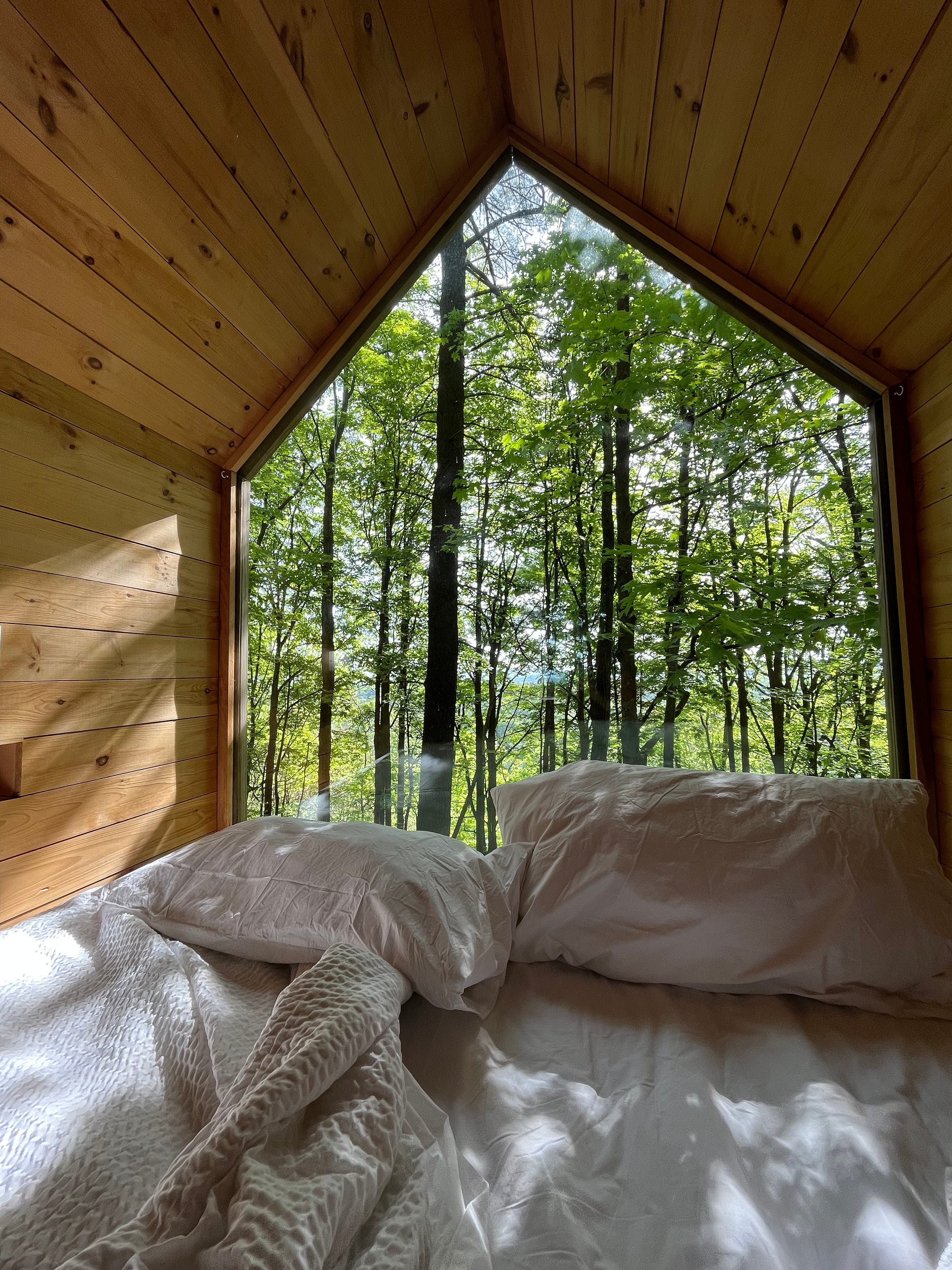 A small cabin with a window that looks out to green trees. There's a bed with white sheets.