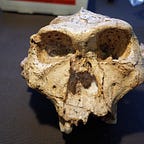 Anthropology.net