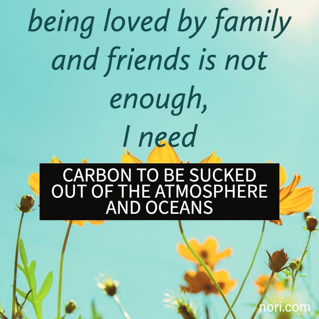 Pastel greeting card with yellow flowers. Script text: "being loved by family and friends is not enough, I need" and a label: "carbon to be sucked out of the atmosphere and oceans".