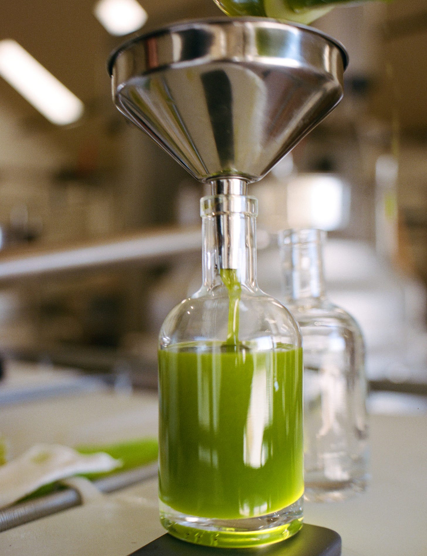 Olio nuovo
