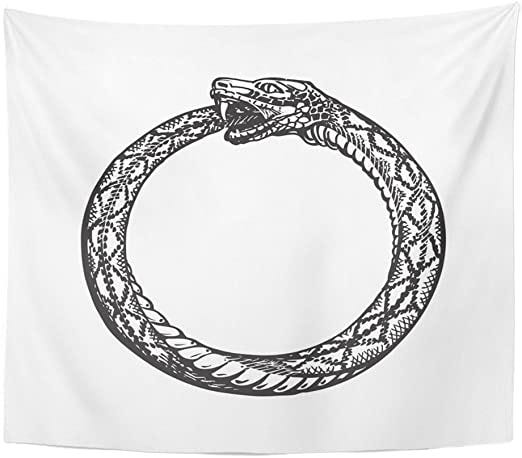 Ouroboro snake