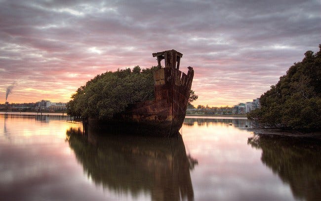 Barco Brent Pearson