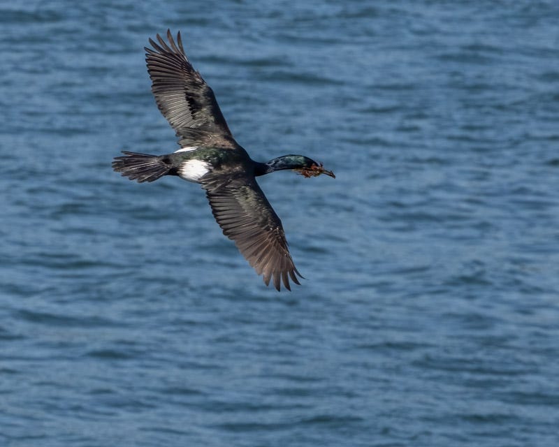 20250610-SJI-1143-Edit.jpg 20250610-SJI-1143-Edit.jpg