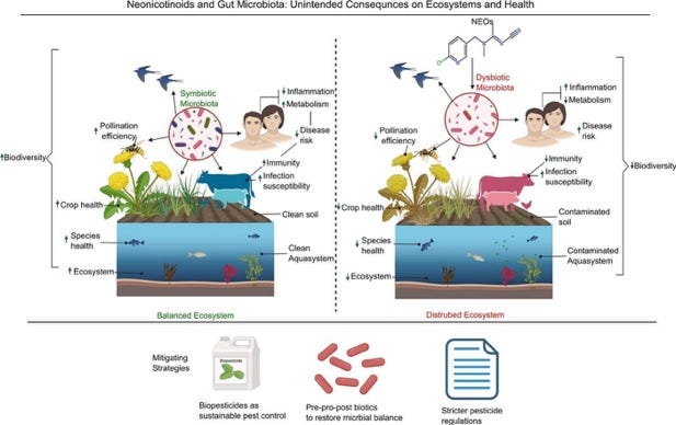 A diagram of a plant life cycle
AI-generated content may be incorrect. A diagram of a plant life cycle
AI-generated content may be incorrect.
