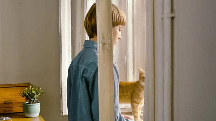 The Cinematheque / The Strange Little Cat