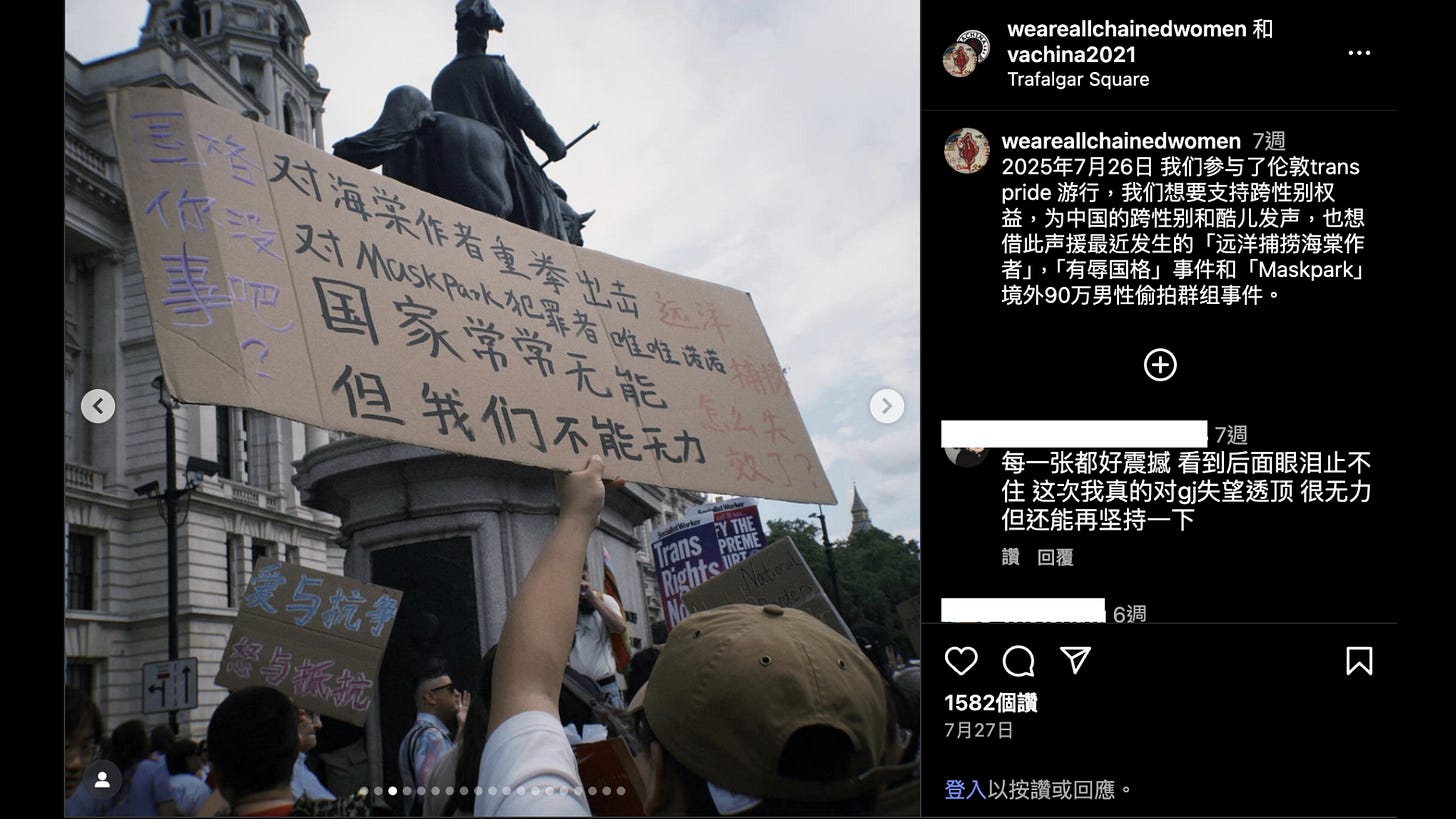 海外中国行动者的发声