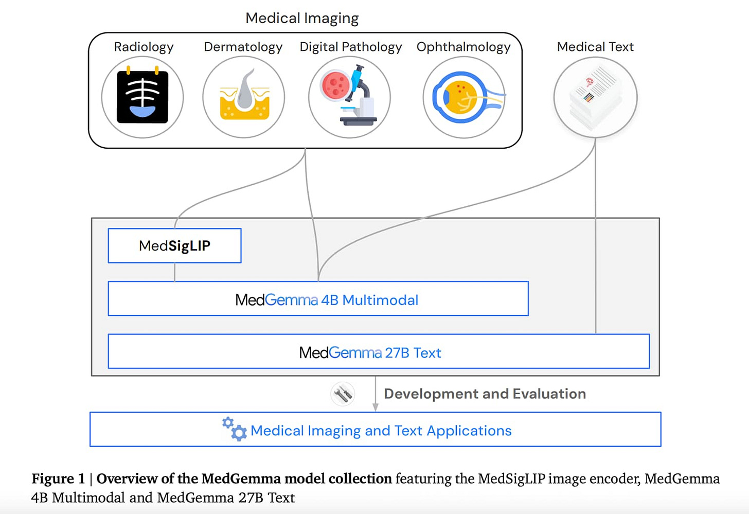 Overview of Google's MedGemma AI model collection for medical imaging and text applications, featuring MedSigLIP, MedGemma 4B Multimodal, and MedGemma 27B Text Overview of Google's MedGemma AI model collection for medical imaging and text applications, featuring MedSigLIP, MedGemma 4B Multimodal, and MedGemma 27B Text