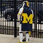 Jon Schroeder's avatar