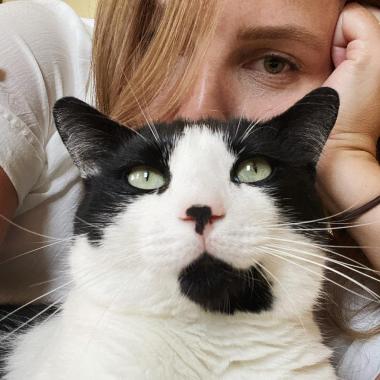 All That The Writing Life Can Afford