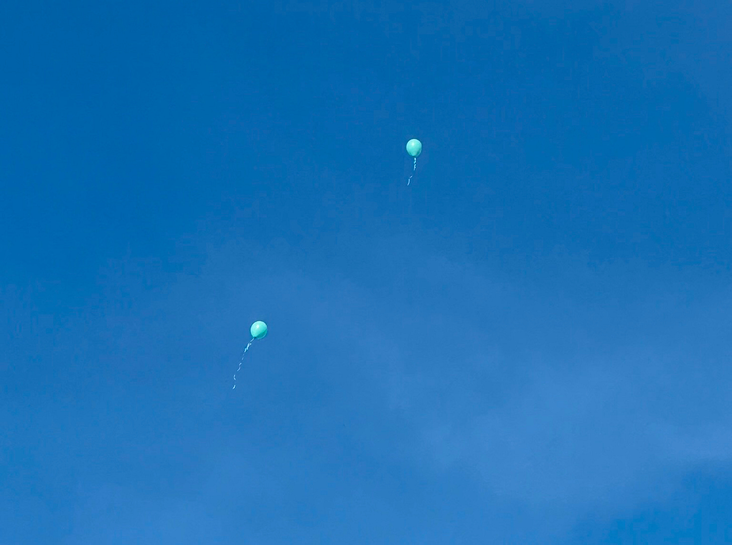 A group of balloons in the sky

Description automatically generated