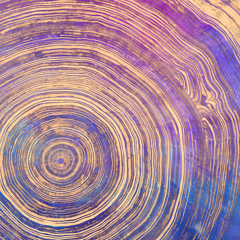 Concentric rings of a tree’s trunk are overlaid on a telescope image of the night sky. The image is off-set with the center of the tree’s trunk in the lower left of the frame. 