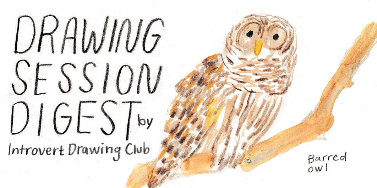 drawing session digest with owl drawing session digest with owl